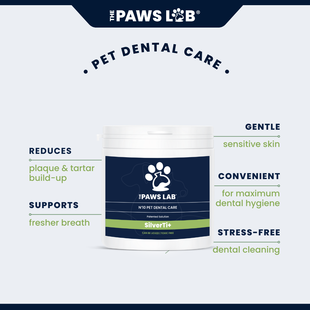 N’10 Pet Dental Care