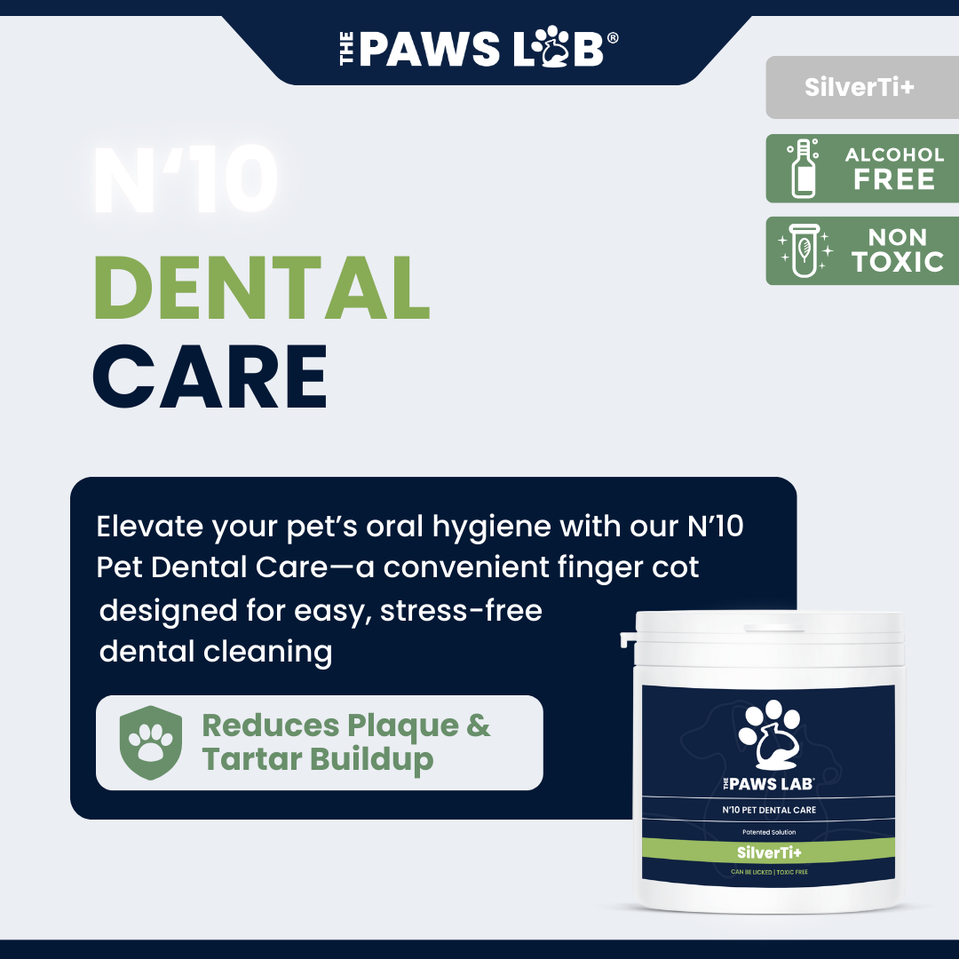 N’10 Pet Dental Care