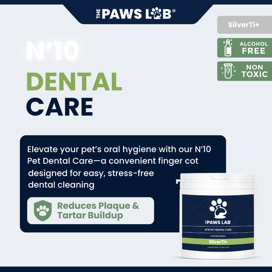 N’10 Pet Dental Care