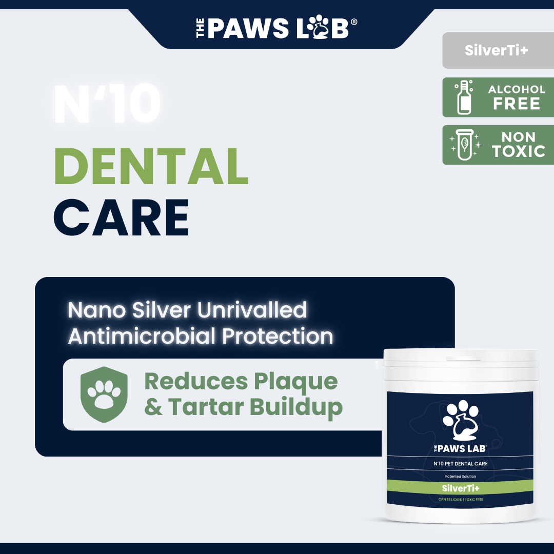 N’10 Pet Dental Care
