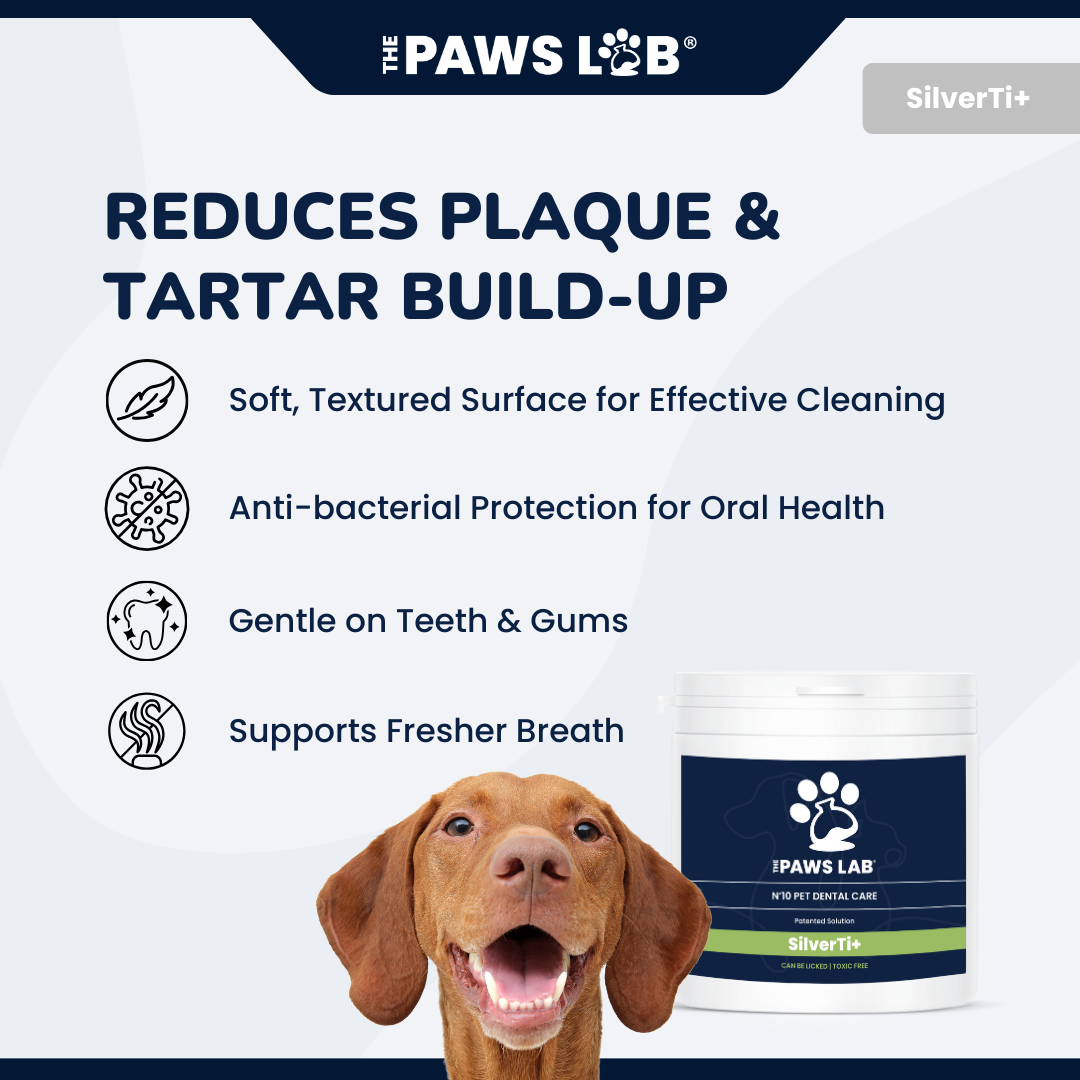 N’10 Pet Dental Care
