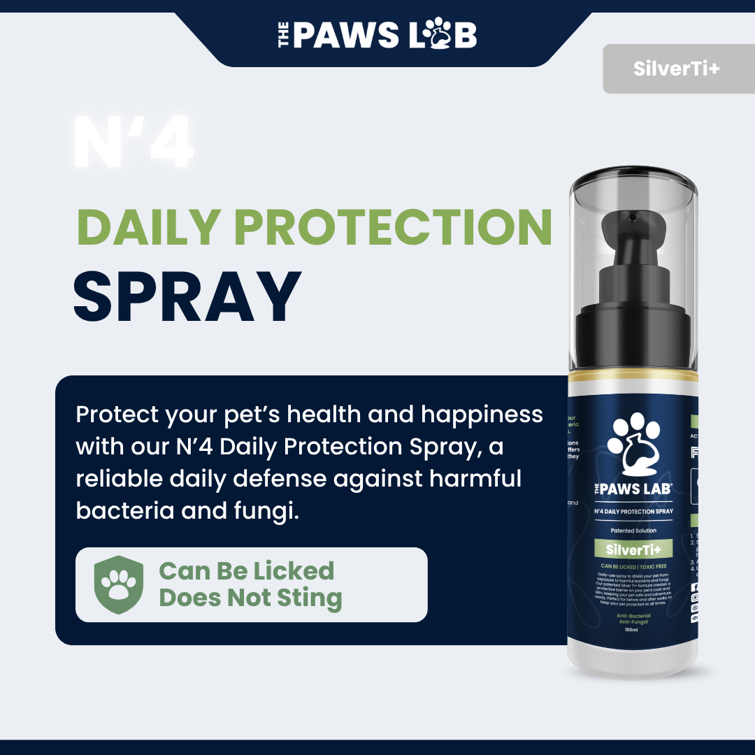 N’4 Daily Protection Spray