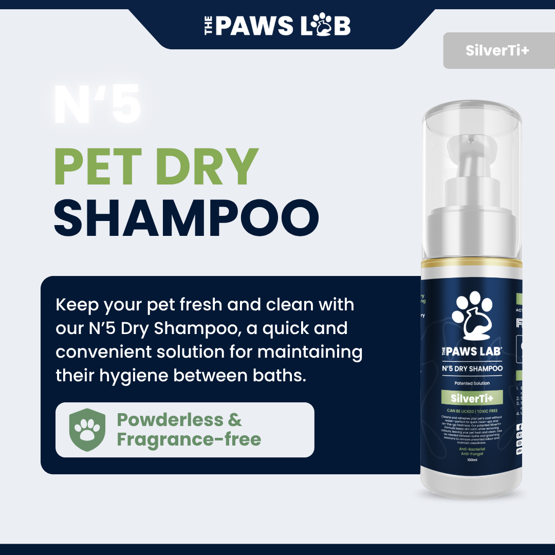 N’5 Dry Shampoo
