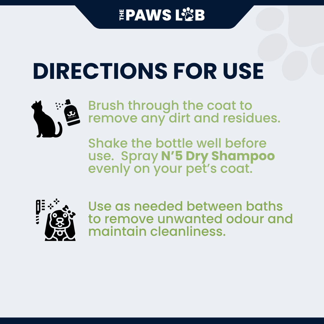 N’5 Dry Shampoo