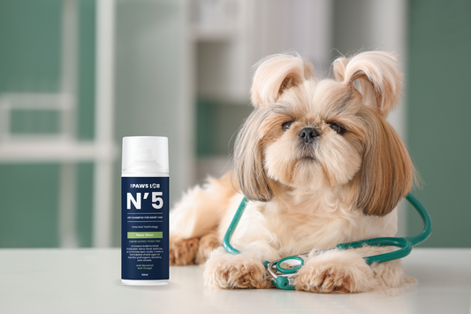 The Benefits of Using Dry Shampoo for Pets: Keep Your Pet Fresh and Clean