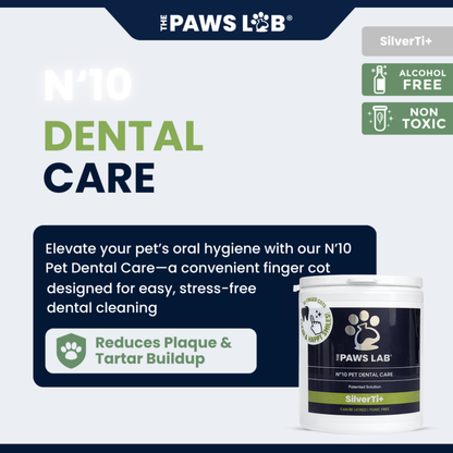 N’10 Pet Dental Care