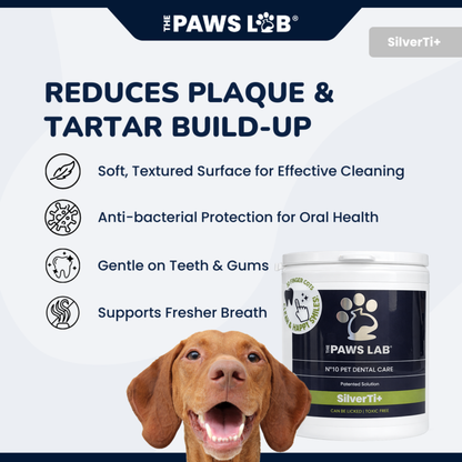 N’10 Pet Dental Care