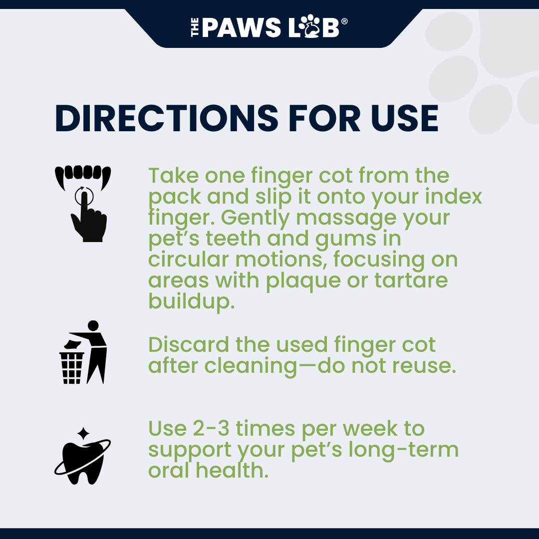 N’10 Pet Dental Care