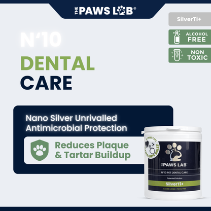 N’10 Pet Dental Care