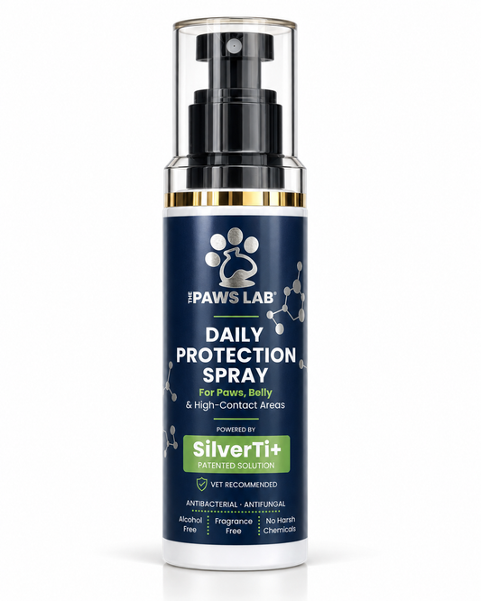 Daily Protection Spray