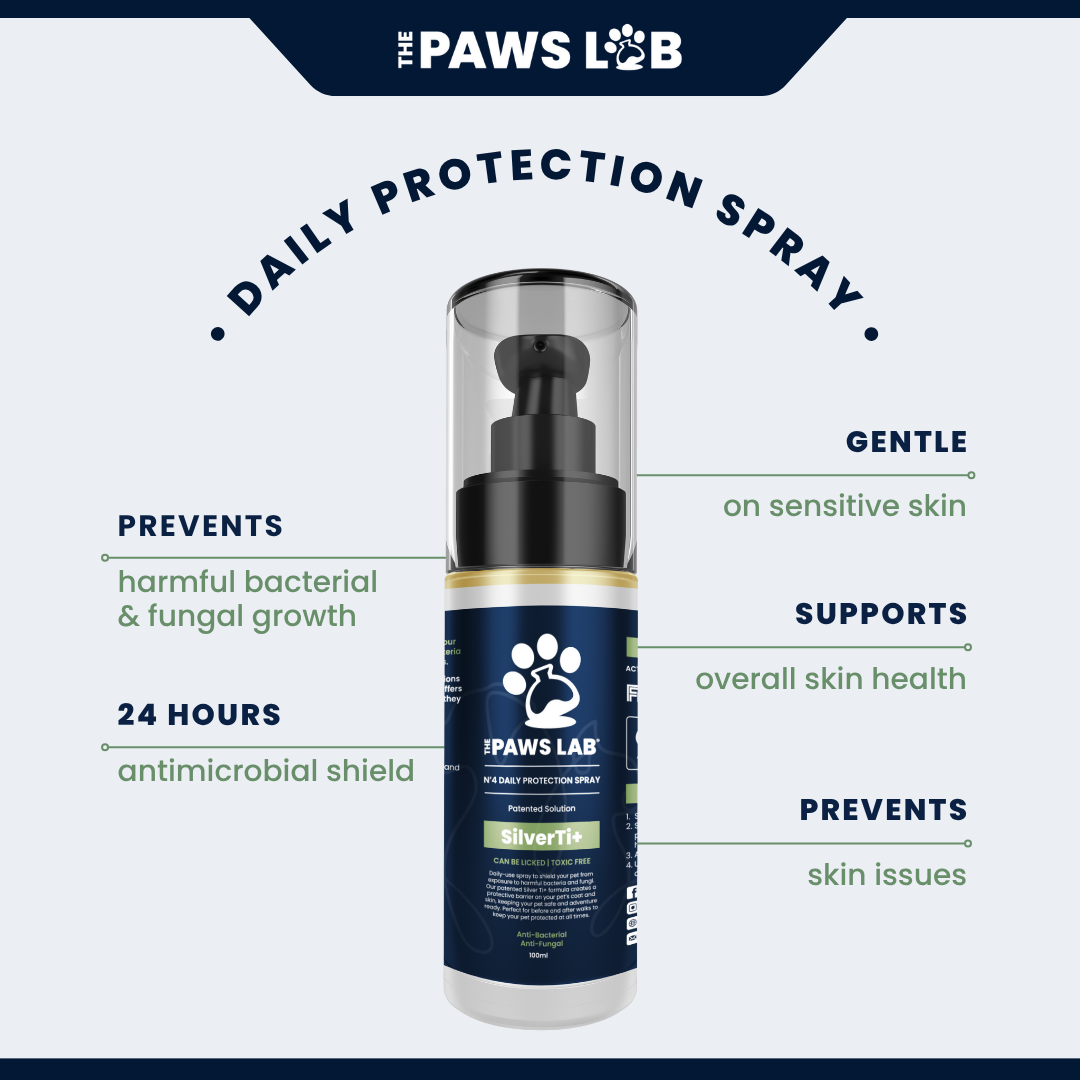 N’4 Daily Protection Spray