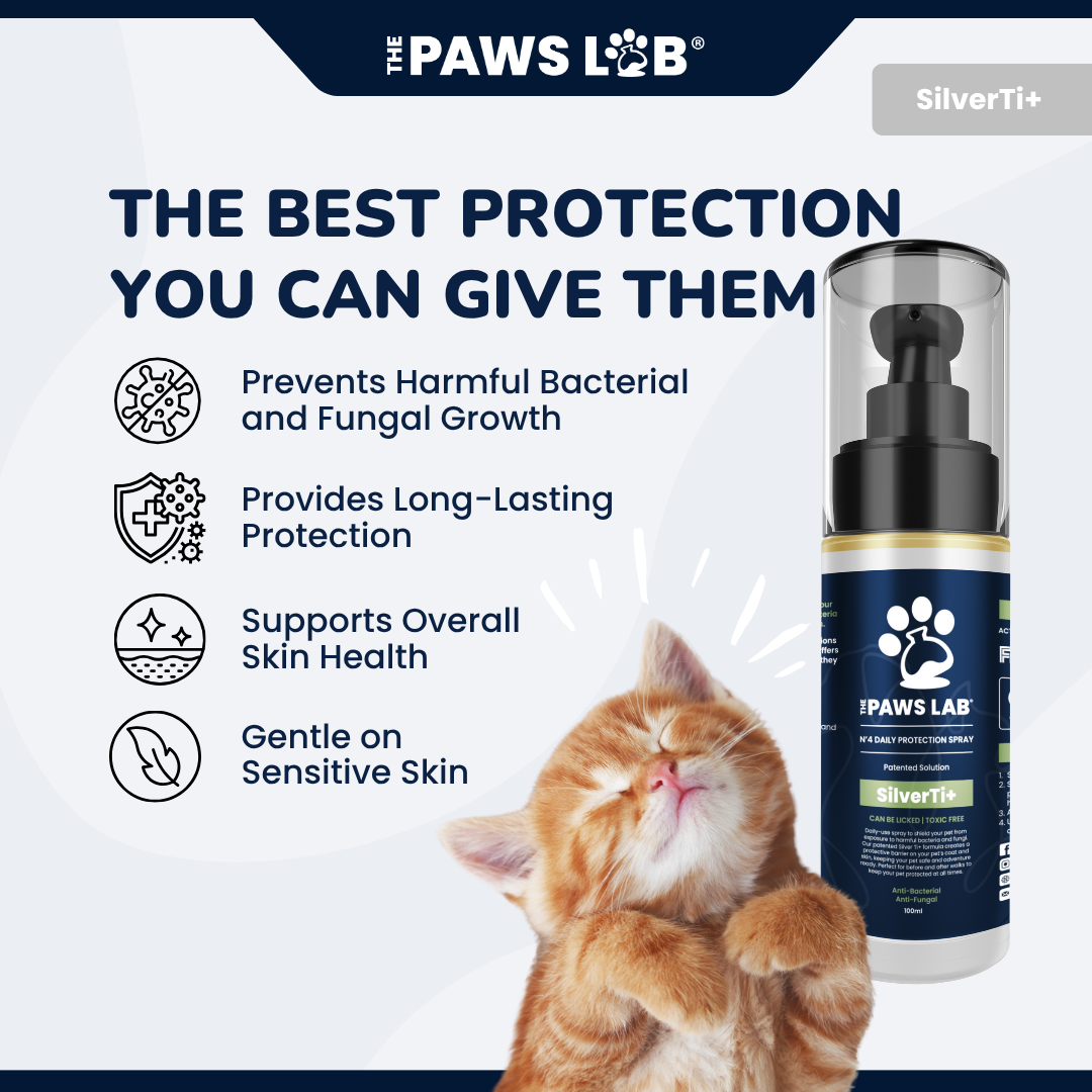 N’4 Daily Protection Spray