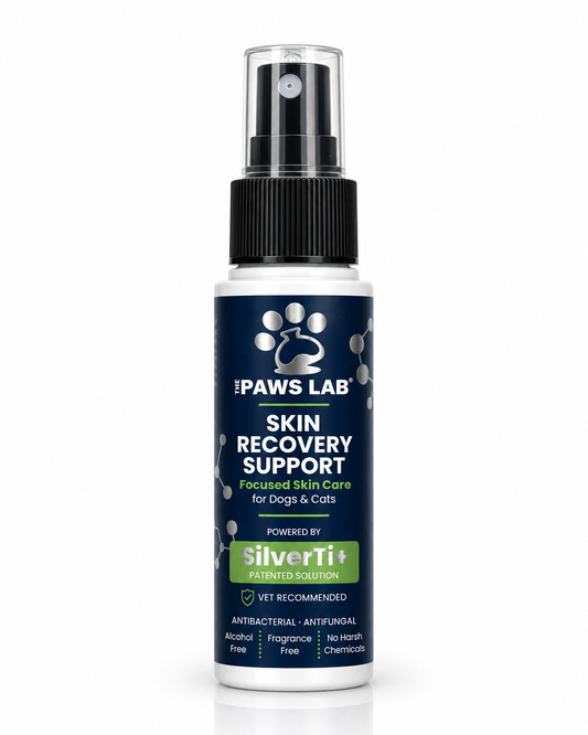 Skin Recovery Support