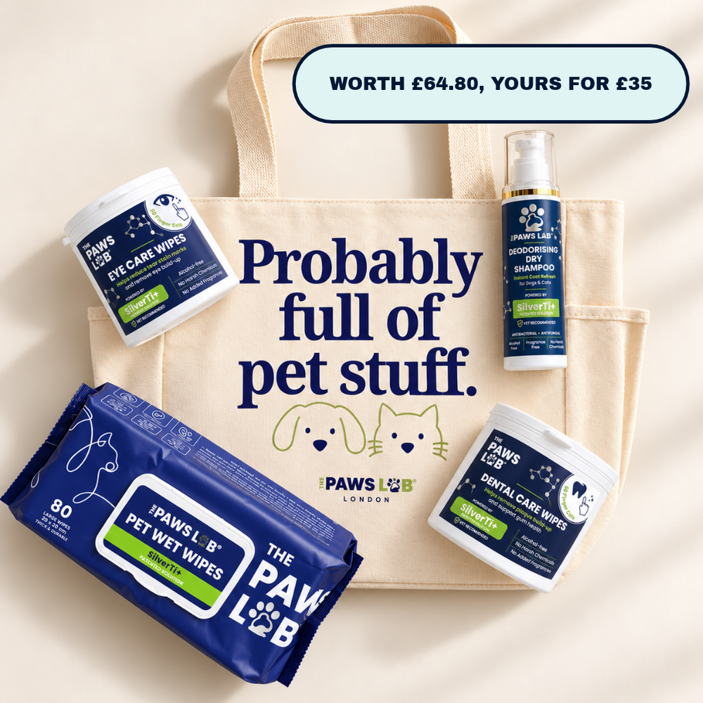 The Complete Daily Care Bundle