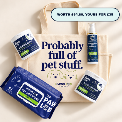 The Complete Daily Care Bundle